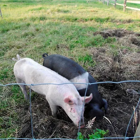 Apartament Ralf Becker Nr2