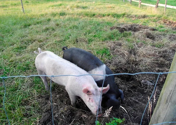 公寓 Ralf Becker Nr2